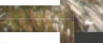 Bildschirmfoto 2012-02-09 um 01.47.54.png