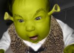 shrekbaby6ug.jpg