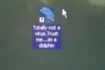 Dolphin-Virus.jpg