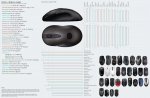 f83d042b_Mouse-Sizing-Chart.jpg