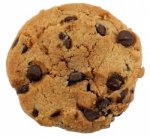 6118720-chocolate-chip-cookie.jpg