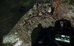 crysis3_2013_03_16_21_55_40_587.jpg