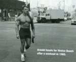 Arnold-Schwarzenegger-muscle-beach-venice.jpg