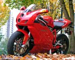 ducati_2005_999_5.jpg