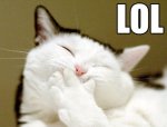 25621-lol-cats-looool.jpg
