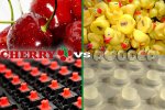 Cherry-MX-vs-rubber-dome-ROUND-2.jpg