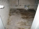 IMG_1994b.jpg