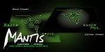 mantisshot.jpg