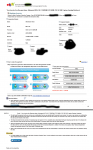 ebay betrug.png