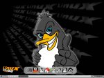 snapshot1.jpg