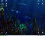 underwater.jpg