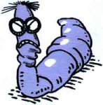 wurm.jpg
