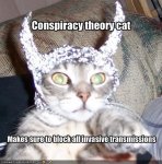 i-e328882ee44dc2a1b1dcedf7a40273ff-conspiracycat.jpg