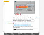 flash 8.12.png
