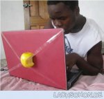 145303_EinechtoriginalerApple_1.jpg 145303_EinechtoriginalerApple_1.jpg