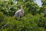 DSC_6197.jpg