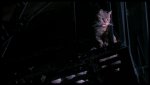 PDVD_006.jpg