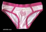 PassWordPanties.jpg