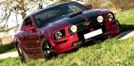 mustang-front.jpg