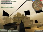 bf3.JPG