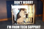 pctechsupportcat.jpg