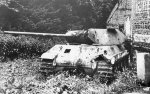 Panther_M10_1.jpg