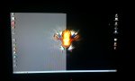 IMAG0017.jpg