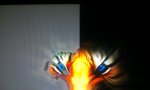 IMAG0016.jpg