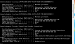 ipconfig2.PNG