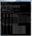 riottracert.PNG