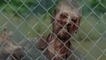 The_Walking_Dead_03.jpg