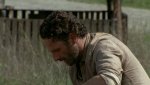 The_Walking_Dead_02.jpg
