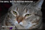 bullshit+detector.jpg