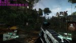 crysis3_2014_12_31_15_52_07_354.jpg