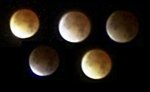 mondfinsternis.jpg