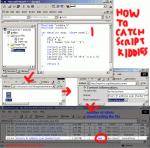 how-to-catch-script-kiddies.gif