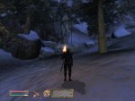 Oblivion 2006-06-07 21-44-03-56.jpg