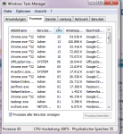 Screen CPU Auslastung.PNG