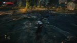 witcher3 2015-05-31 14-59-50-43.jpg