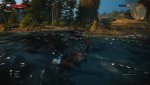 witcher3 2015-05-31 15-00-17-48.jpg