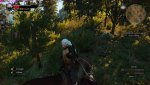 witcher3_2015_08_07_16_58_41_455.jpg