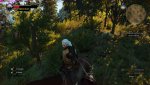 witcher3_2015_08_07_16_58_42_441.jpg