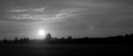 sun 800x bw.jpg