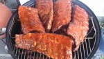Ribs_WSM_gemopped.jpg