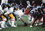 Adler-Panthers-1985-07-21.jpg