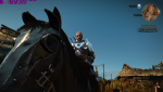 witcher3_2015_11_20_02_14_00_144.png