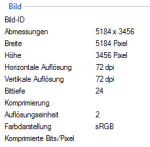 details.PNG