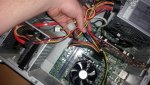 Lose Stecker Fern.jpg