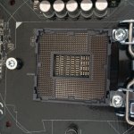 IMG_0524.JPG IMG_0524.JPG