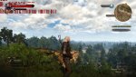 witcher3_2016_05_19_19_59_02_516.jpg